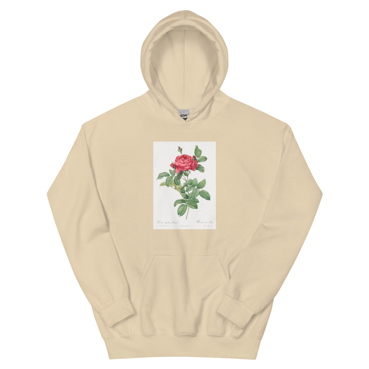 Sand Hoodie Rosa Gallica Pontiana Also Known As Bridge Rose Essential