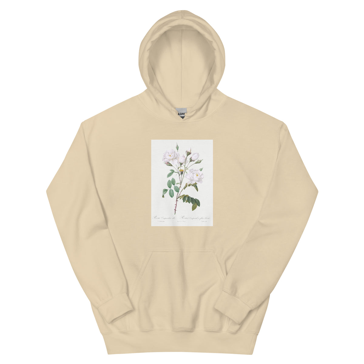 Sand Hoodie Rosa Campanulata Alba Also Known As Pink Bellflowers To White Flowers Essential