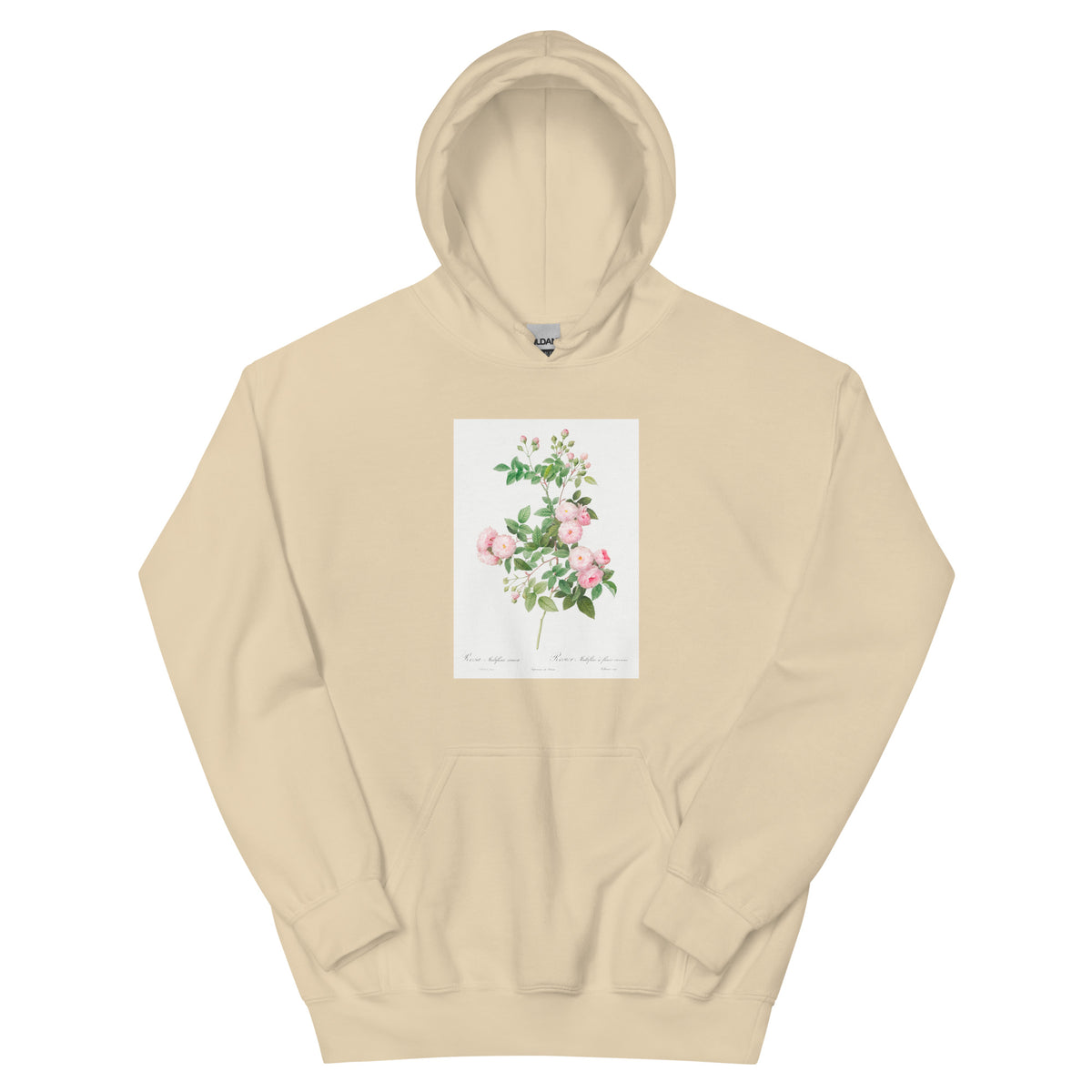 Sand Hoodie Flesh-Pink Multiflora Rosa Multiflora Carnea Essential