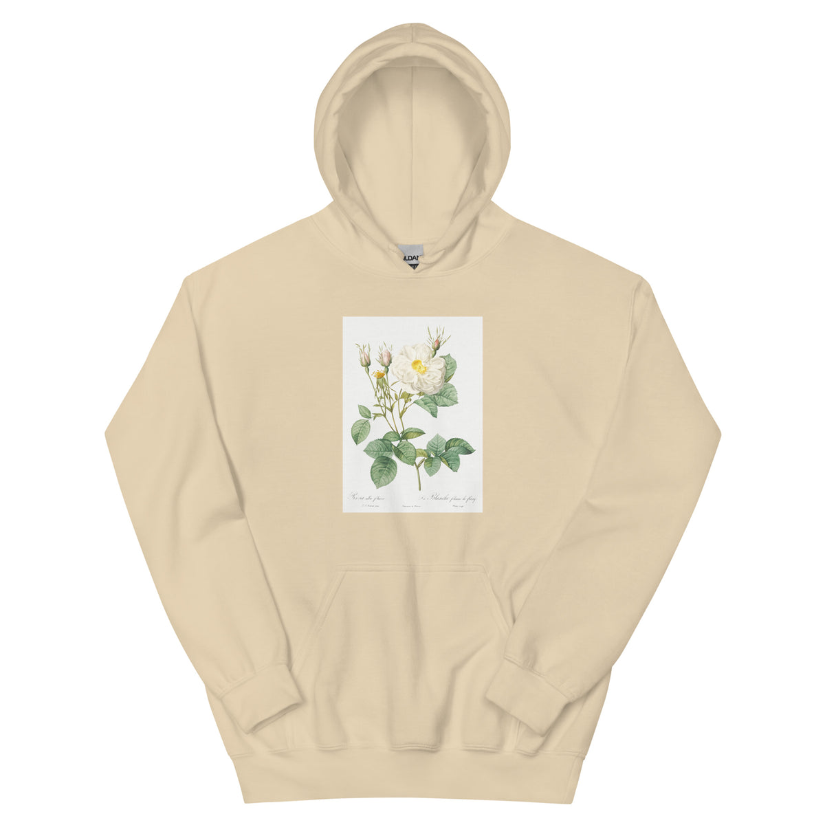 Sand Hoodie Rosa X Alba Also Known As The White Leaf Of Fleury Rosa Alba Foliacea Essential