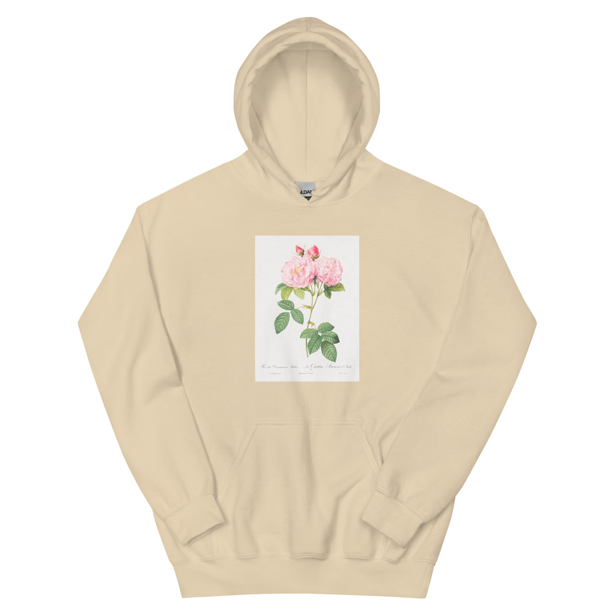 Sand Hoodie Italian Damask Rose Also Known As The Four Seasons Of Italy Rosa Damascena Italica Essential