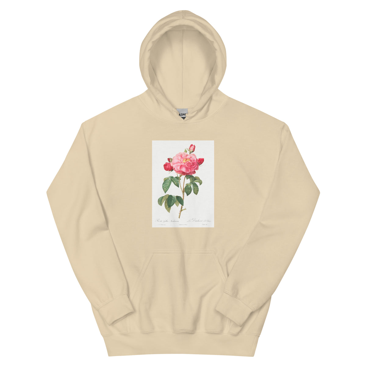Sand Hoodie Gallic Rose Also Known As The Duchess Of Orleans Rosa Gallica Aurelianensis Essential