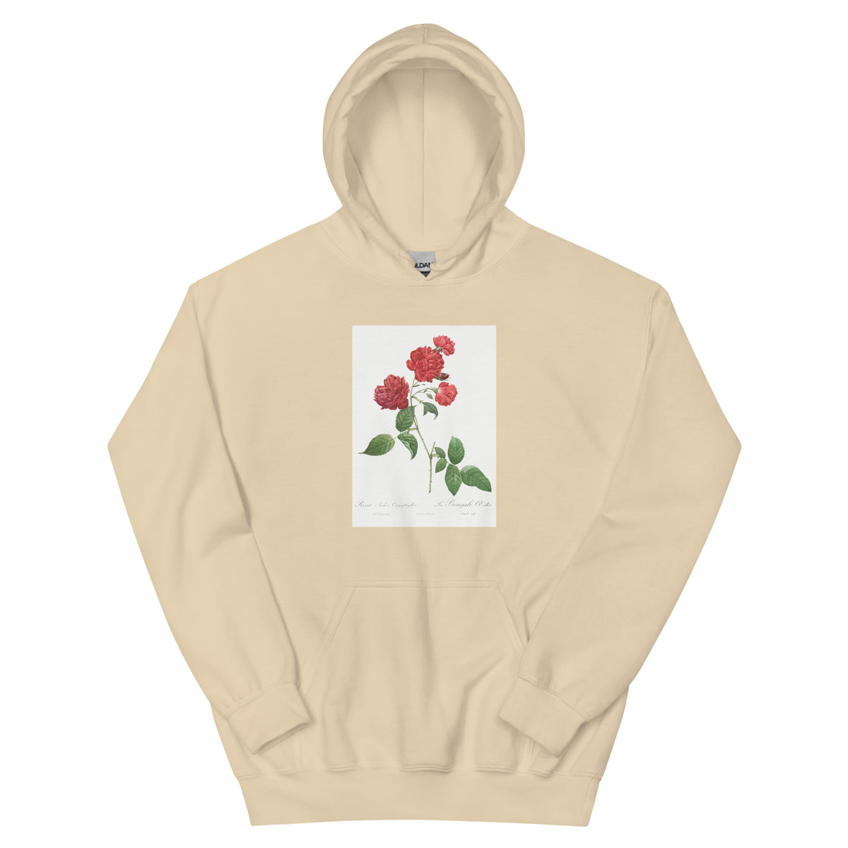 Sand Hoodie Red Cabbage Rose Also Known As Bengal Eyelet Rosa Indica Caryophyllea - Pierre-Joseph Redoute Original From The Library Of Congress 1817 Essential