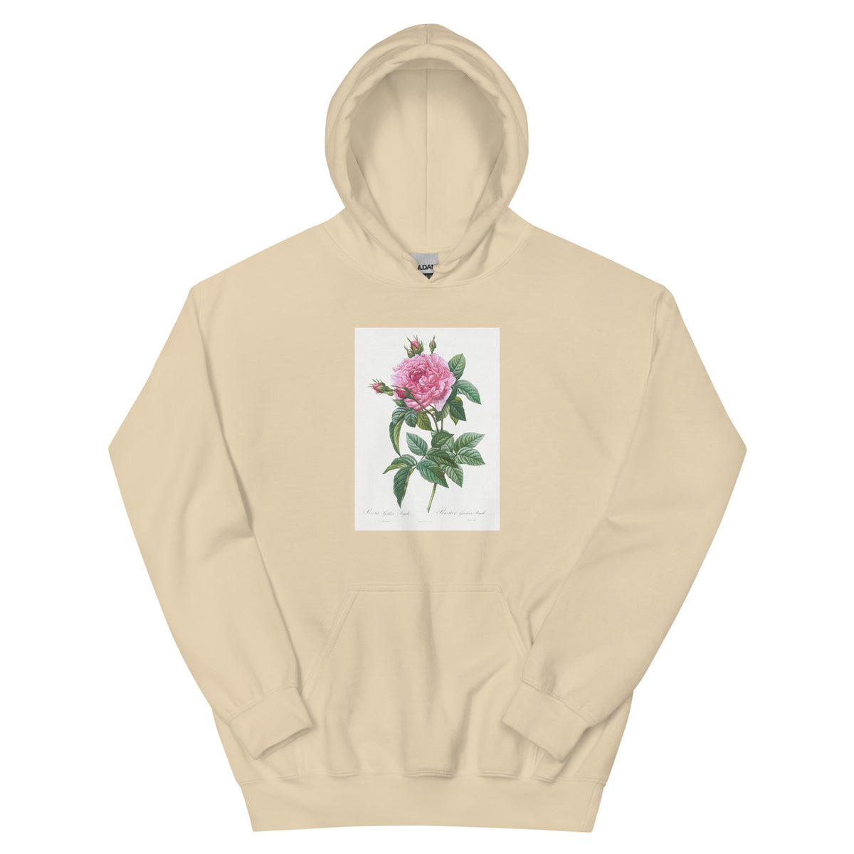 Sand Hoodie Gallic Rose Rosa Gallica Regalis Essential