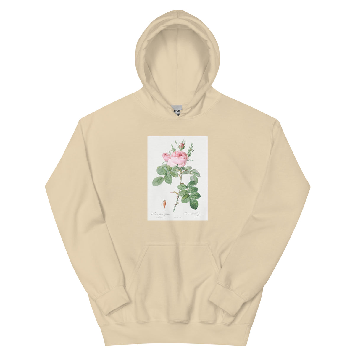 Sand Hoodie Rosa Bifera Officinalis Also Known As Rose Of Perfume Essential