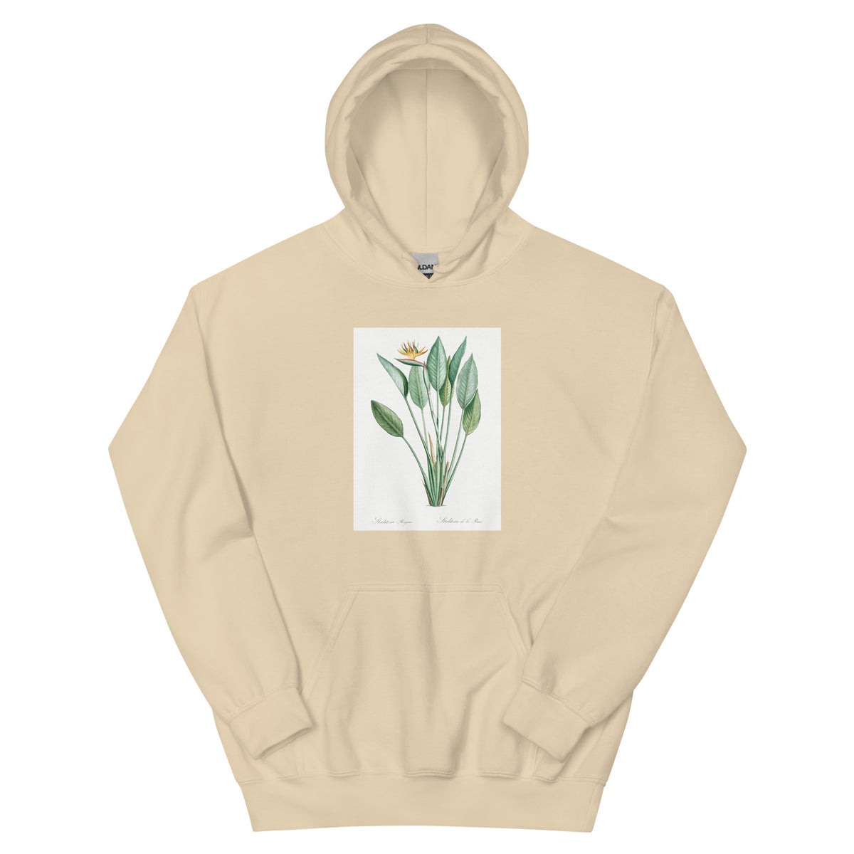 Sand Hoodie Bird Of Paradise Illustration II Essential