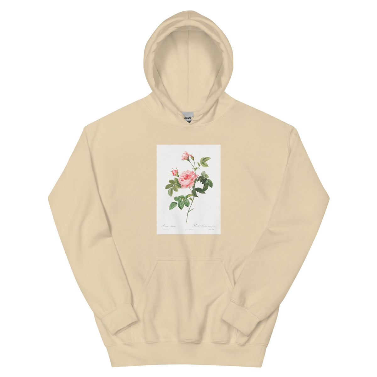 Sand Hoodie Boursault Rose Also Known As Rose Turbine Without Thorns Rosa Inermis Essential