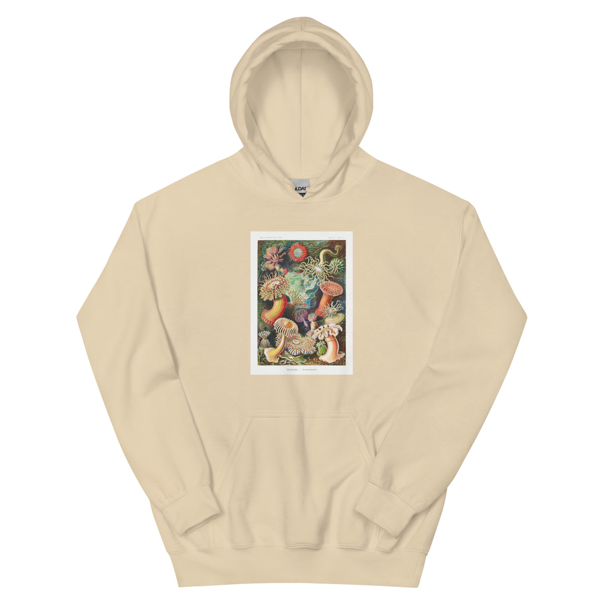 Sand Hoodie Actiniae Seeanemonen Essential