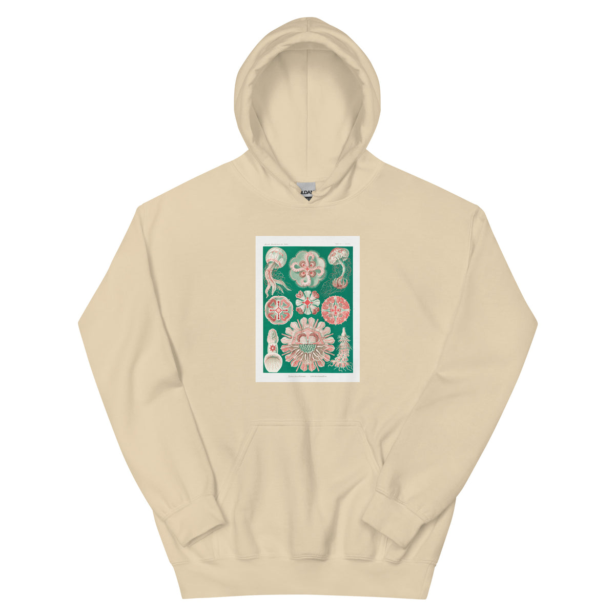 Sand Hoodie Discomedusae Schweibenquallen Essential