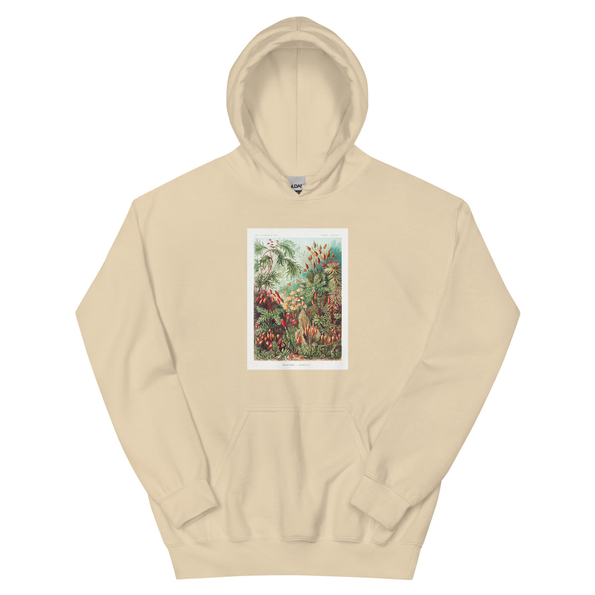 Sand Hoodie Muscinae Laubmoose A Giltsch Gem Essential