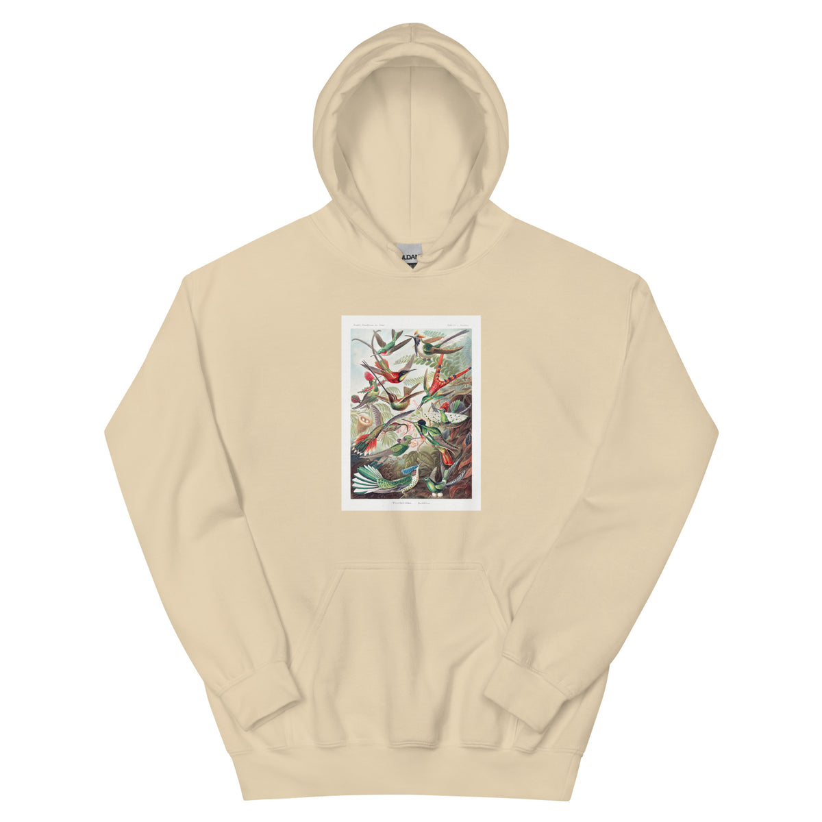 Sand Hoodie Trochilidae Kolibris Essential