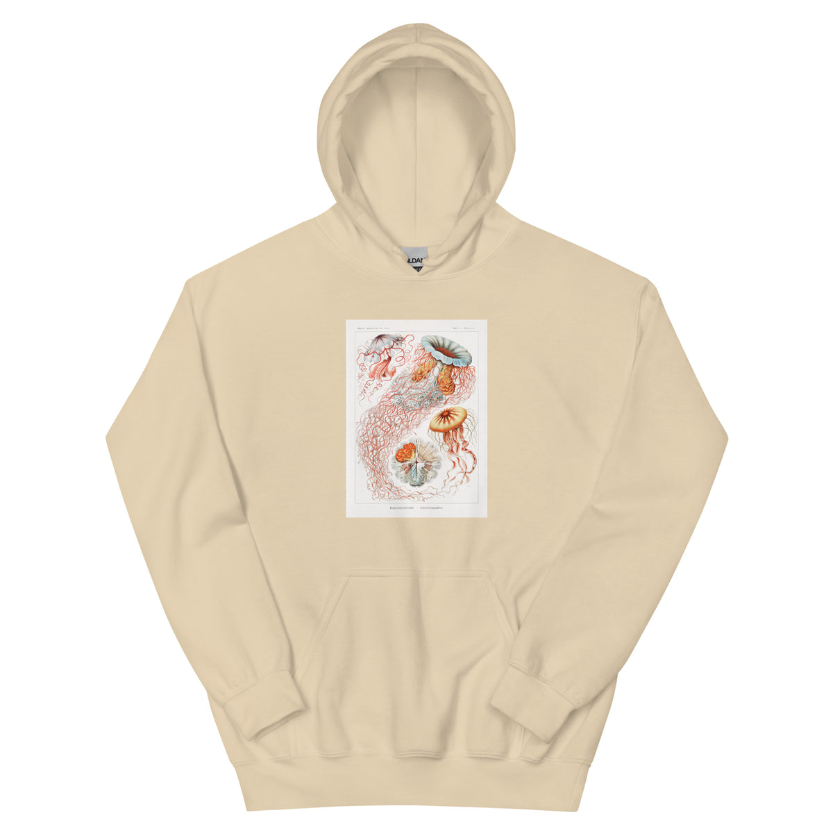 Sand Hoodie Discomedusae Scheibenquallen Essential
