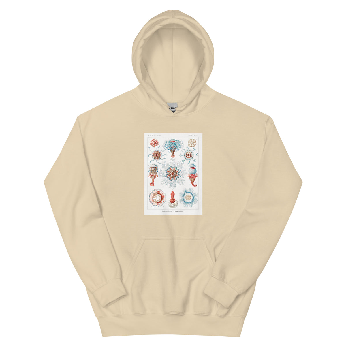 Sand Hoodie Siphonophorae Staatsquallen Essential