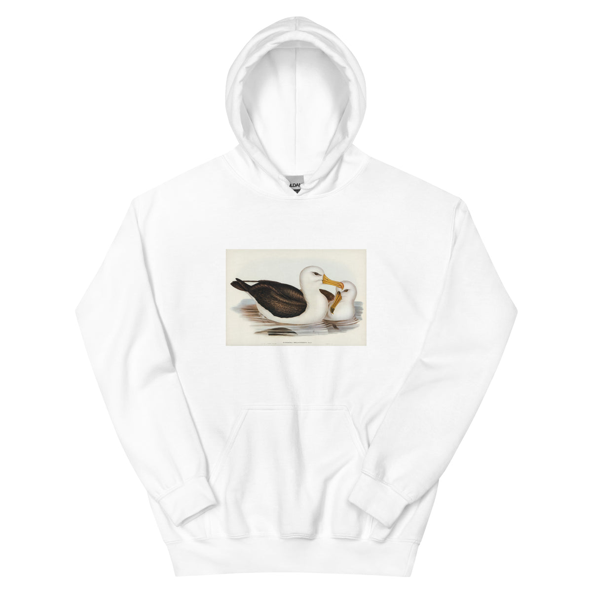 White Hoodie Black-Eyebrowed Albatros Diomedea Melanophrys Illustrated - Elizabeth Gould 1804 Essential