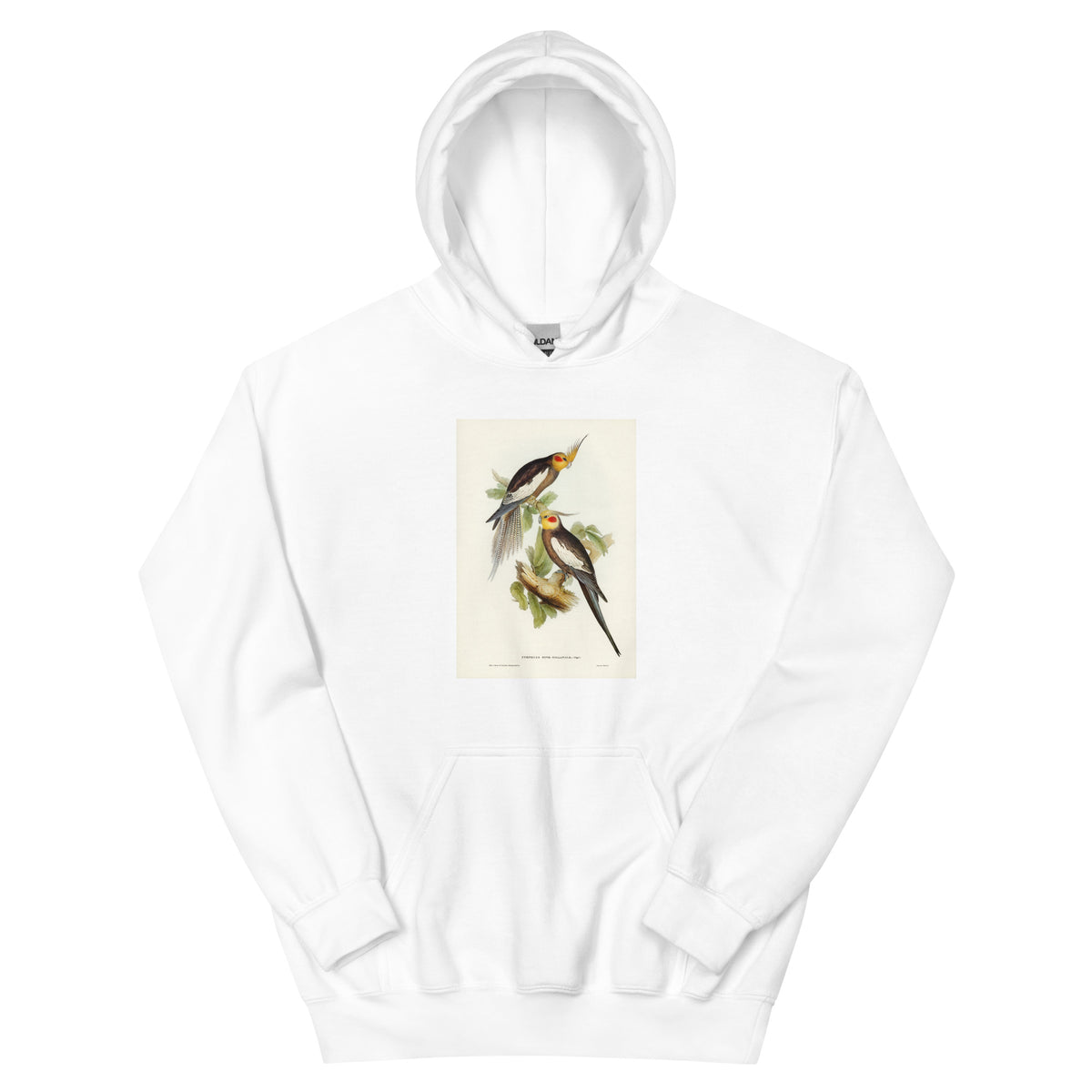 White Hoodie Cockatoo Parakeet Nymphicus Novae Hollandiae Illustrated - Elizabeth Gould 1804 Essential