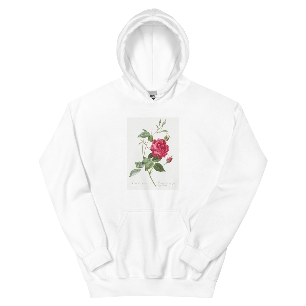 White Hoodie Blood-Red Bengal Rose Rosa Indica Cruneta Essential