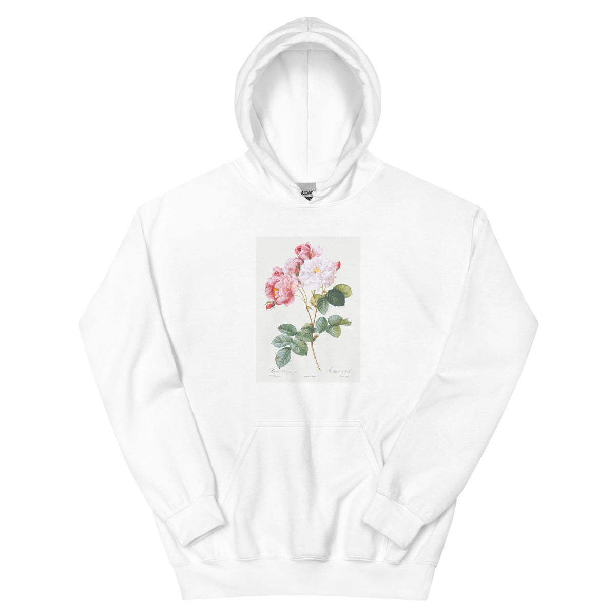 White Hoodie Rosa Damascena Rosebush Rosa Damascena Essential
