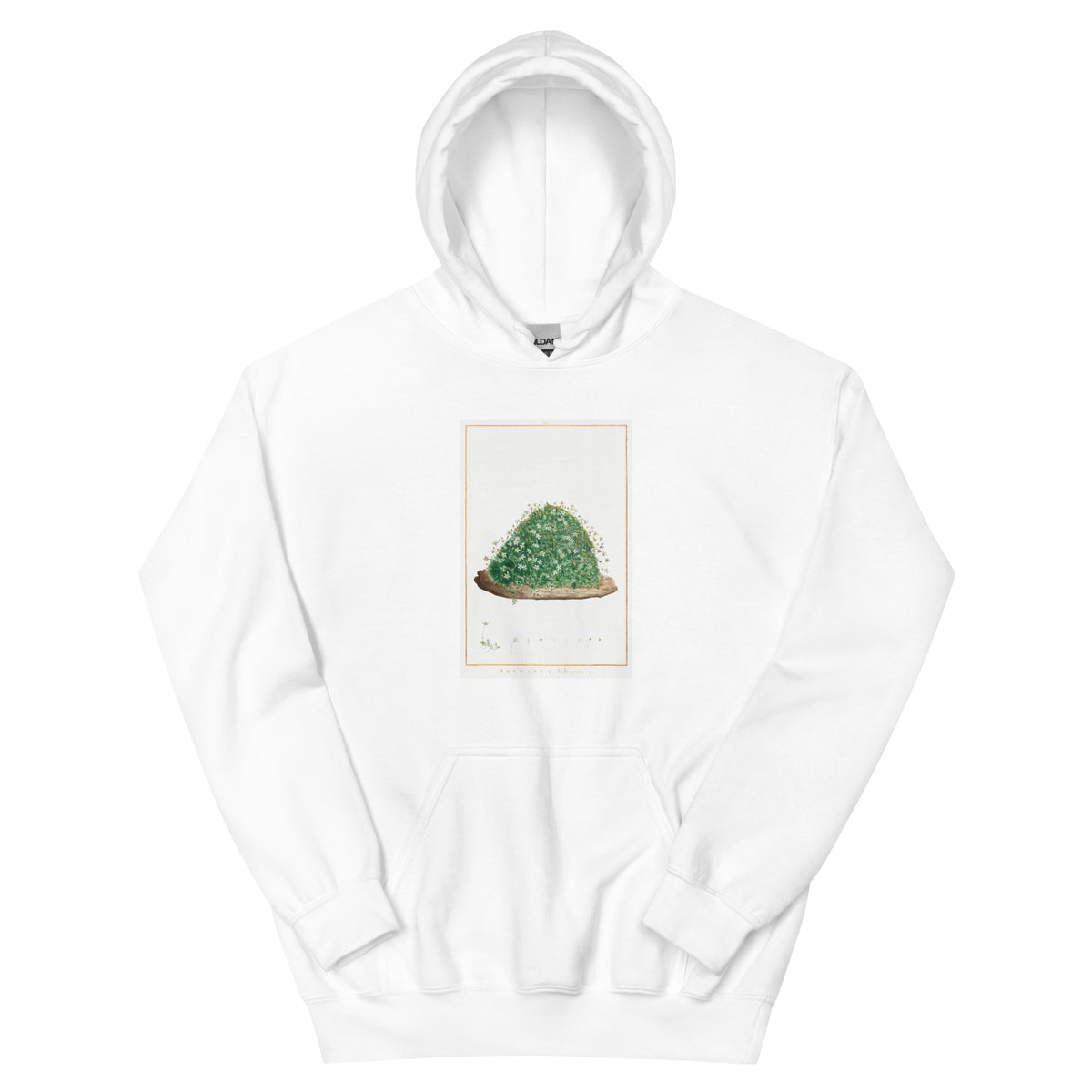 White Hoodie Arenaria Balearica Image - Pierre-Joseph Redoute And Charles Louis L Heritier 1784 Essential