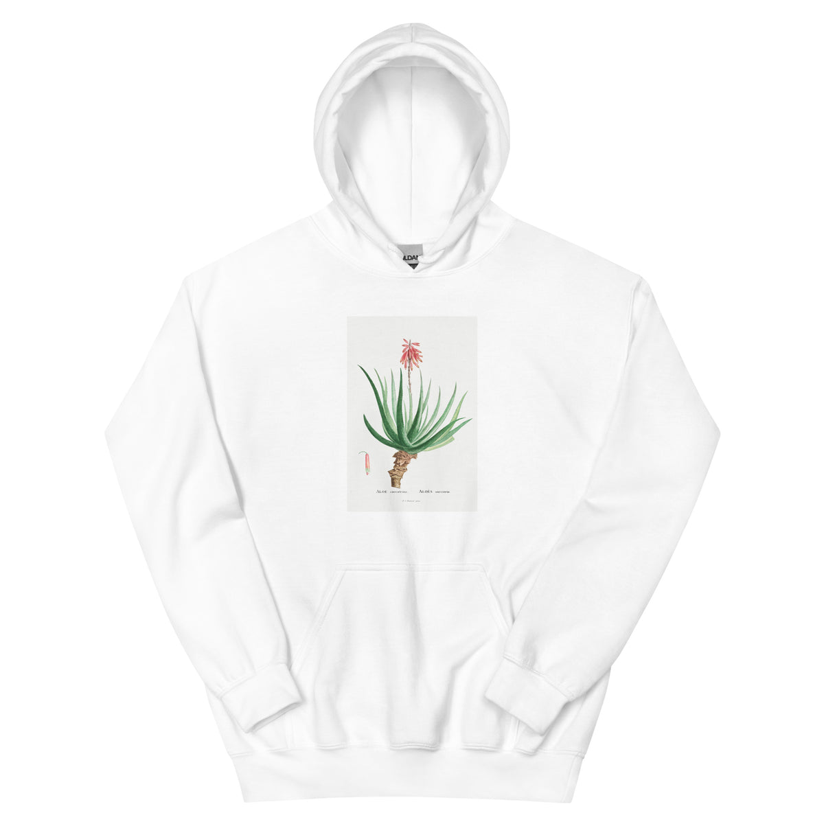 White Hoodie Aloe Socotrina Image Essential