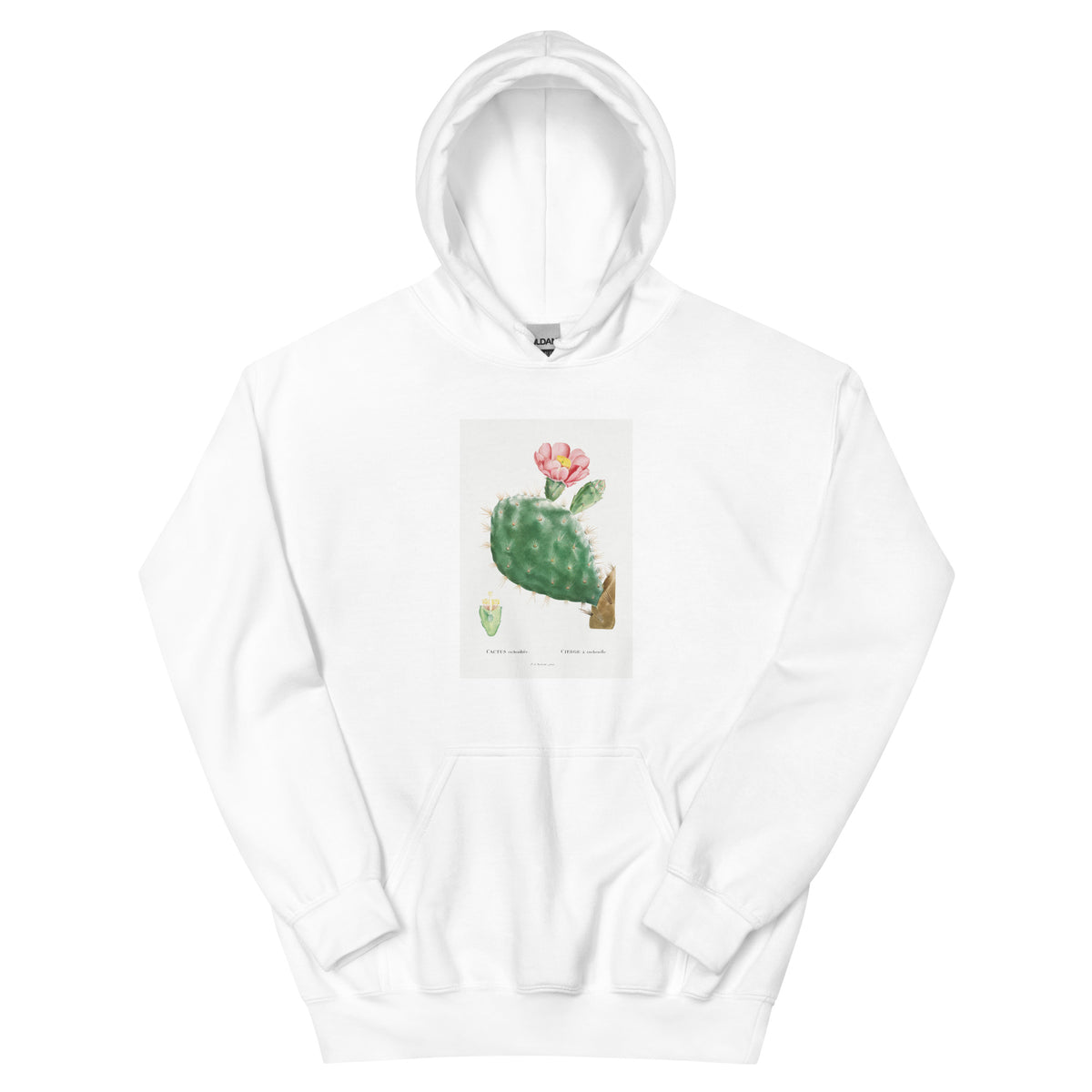 White Hoodie Cactus Cochenillifer Image Essential