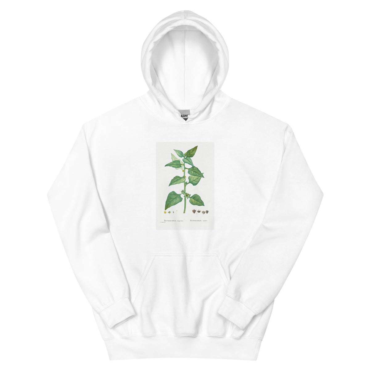 White Hoodie Tetragonia Expansa New Zealand Spinach Essential