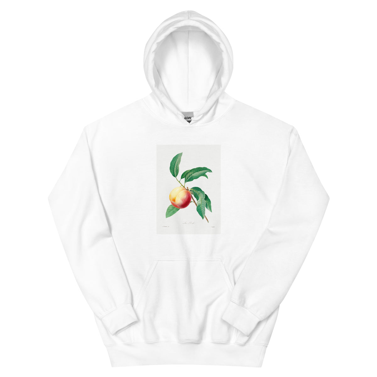 White Hoodie Peach Fruit On A Branch - Pierre-Joseph Redoute 1759 Essential