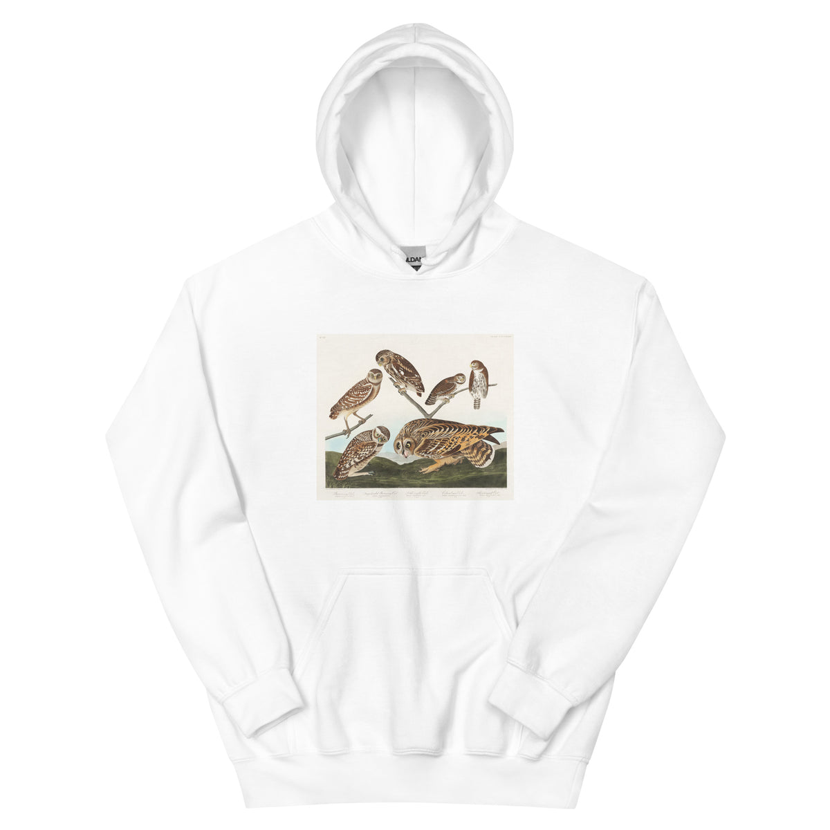 White Hoodie Burrowing Owl Large-Headed Burrowing Owl Little Night Owl Columbian Owl And Short-Cared Owl - John James Audubon 1827 Essential