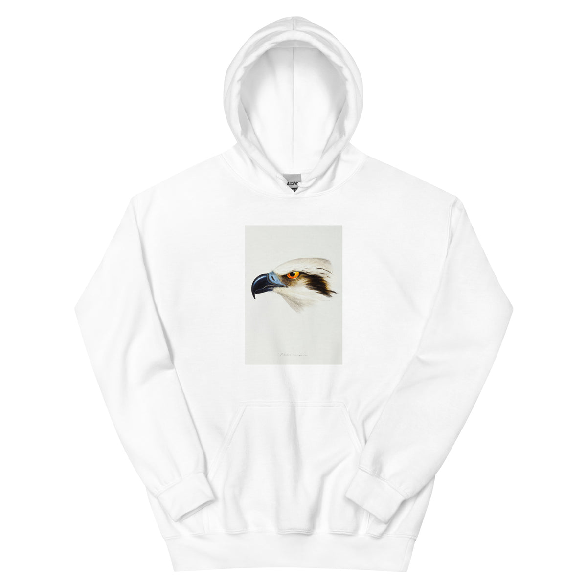 White Hoodie White-Headed Osprey Pandion Leucocephalus Illustrated Essential