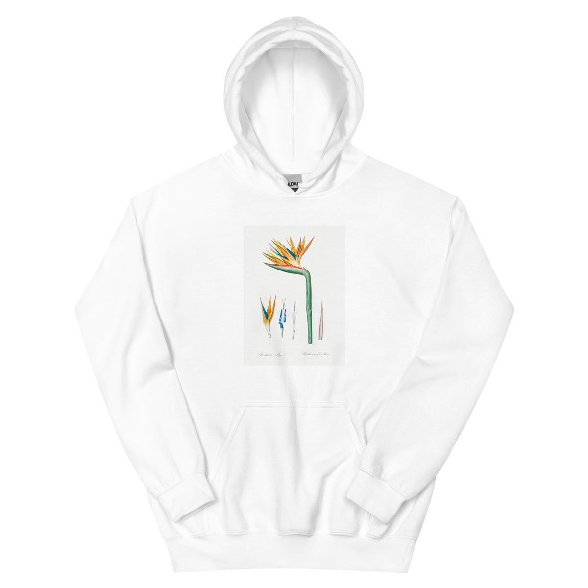 White Hoodie Bird Of Paradise Illustration Essential