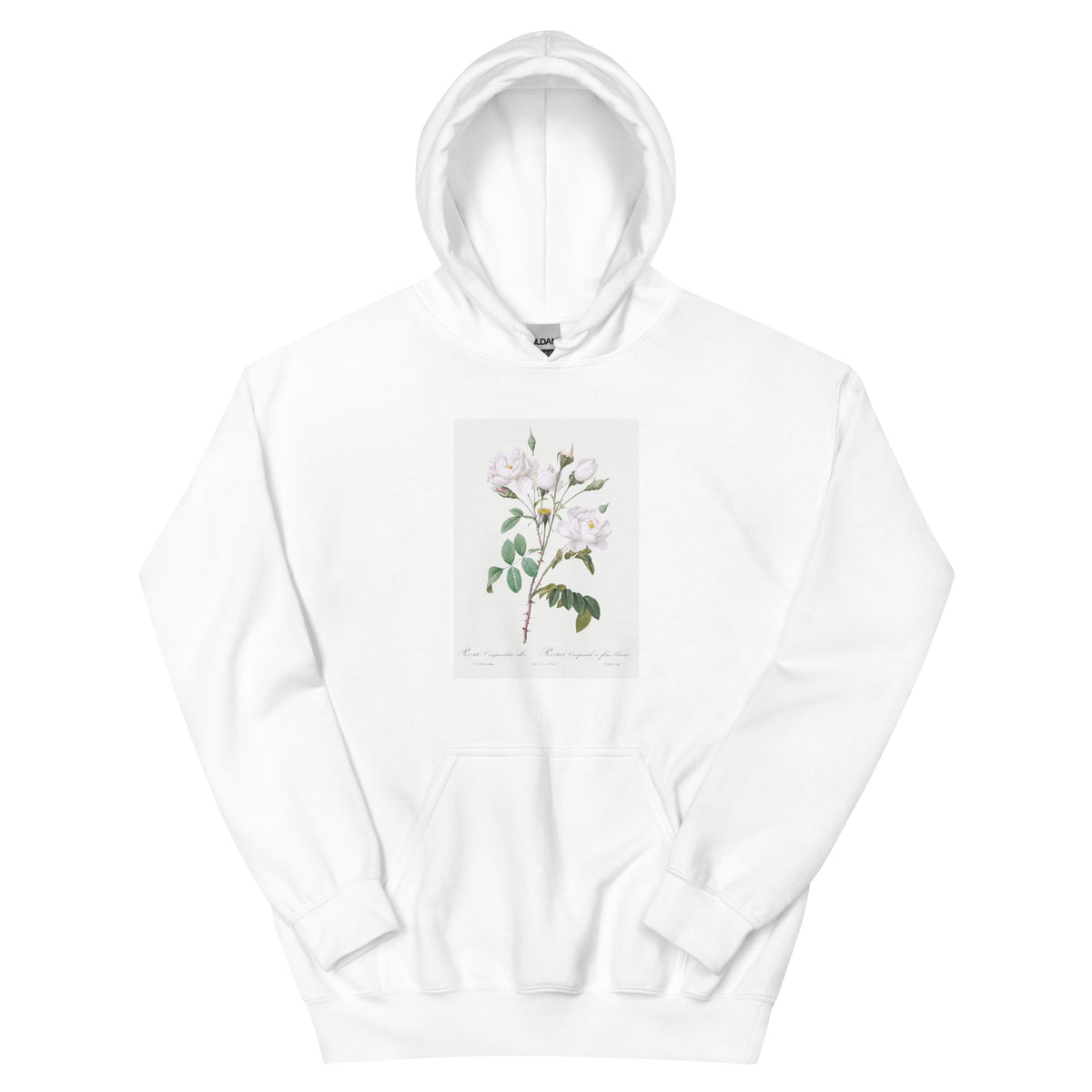 White Hoodie Rosa Campanulata Alba Also Known As Pink Bellflowers To White Flowers Essential