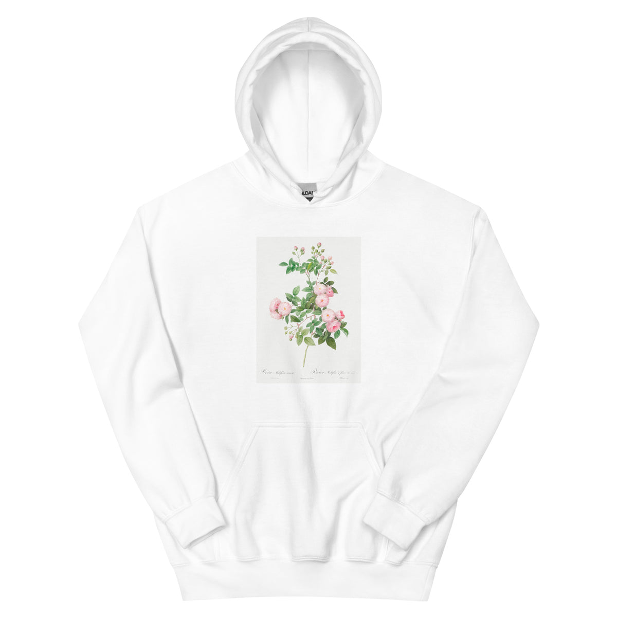White Hoodie Flesh-Pink Multiflora Rosa Multiflora Carnea Essential