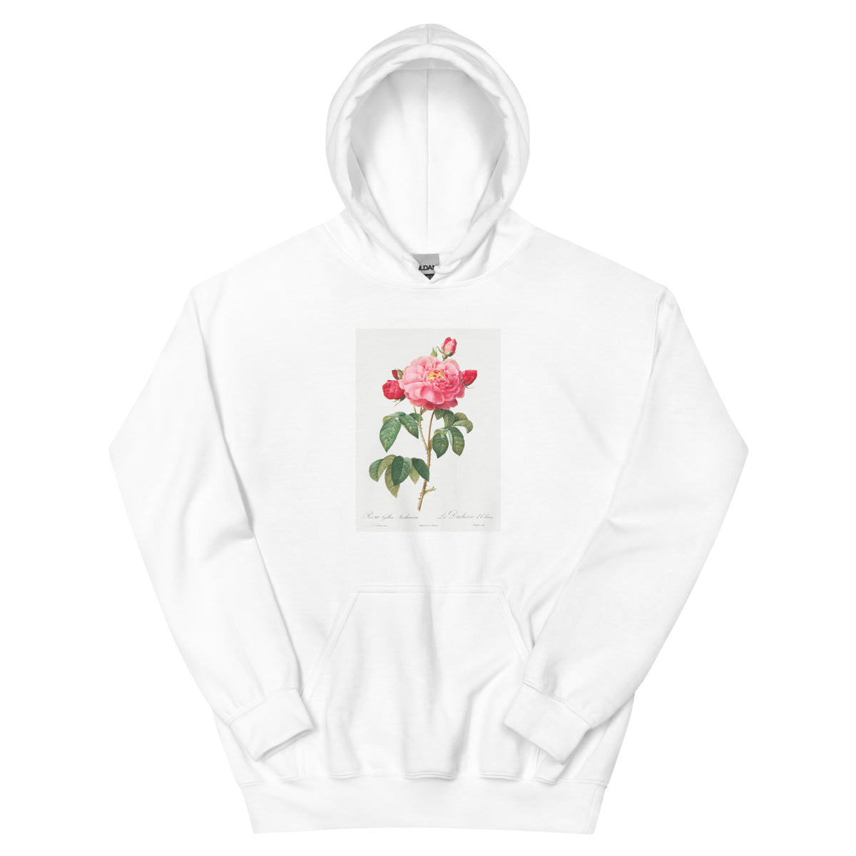 White Hoodie Gallic Rose Also Known As The Duchess Of Orleans Rosa Gallica Aurelianensis Essential