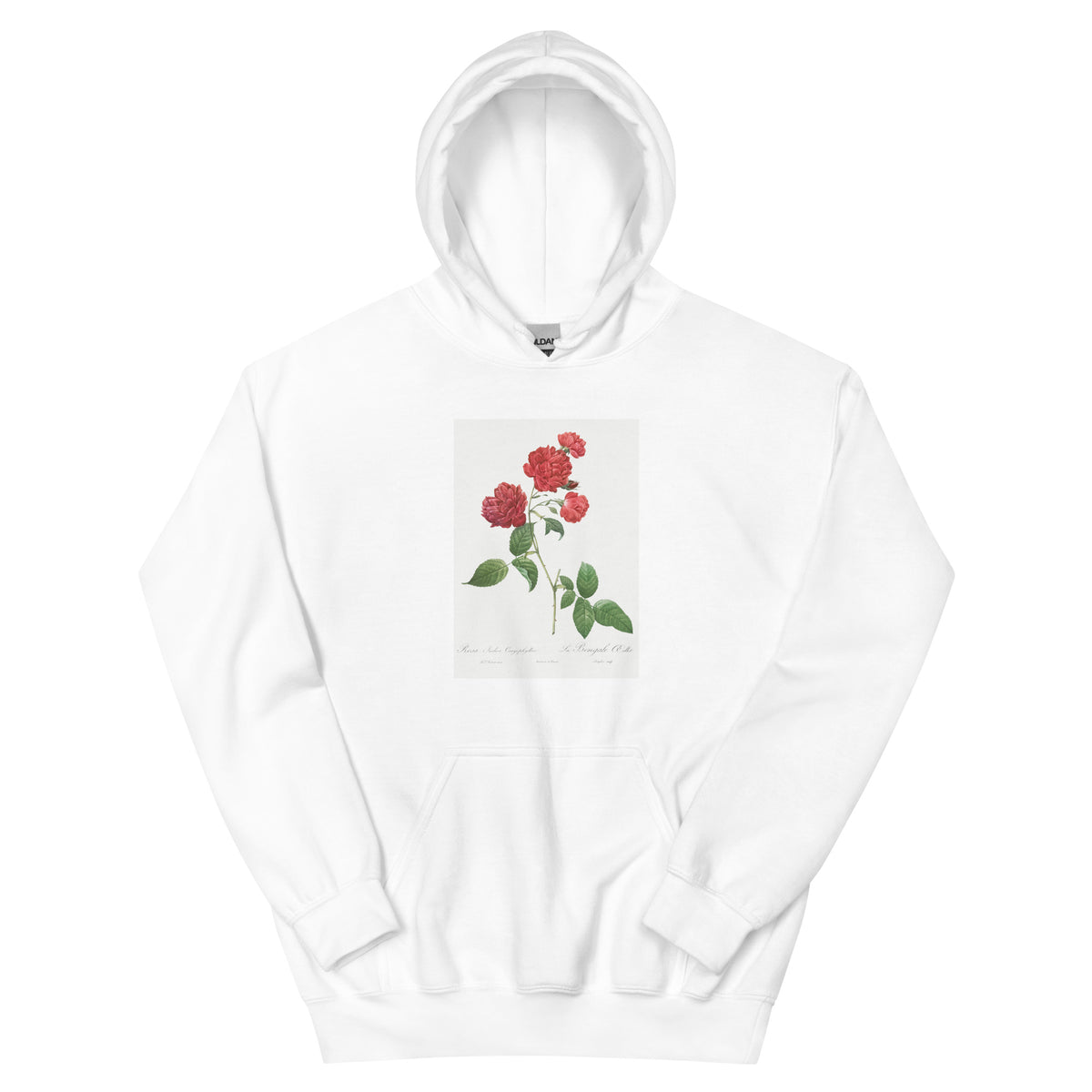 White Hoodie Red Cabbage Rose Also Known As Bengal Eyelet Rosa Indica Caryophyllea - Pierre-Joseph Redoute Original From The Library Of Congress 1817 Essential