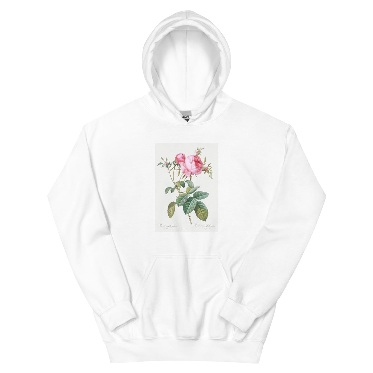 White Hoodie Rose De Mai Rosa Centifolia Foliacea Essential