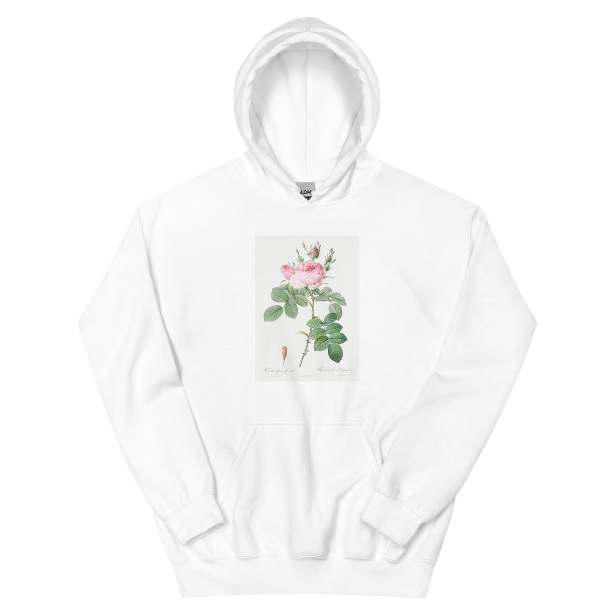 White Hoodie Rosa Bifera Officinalis Also Known As Rose Of Perfume Essential