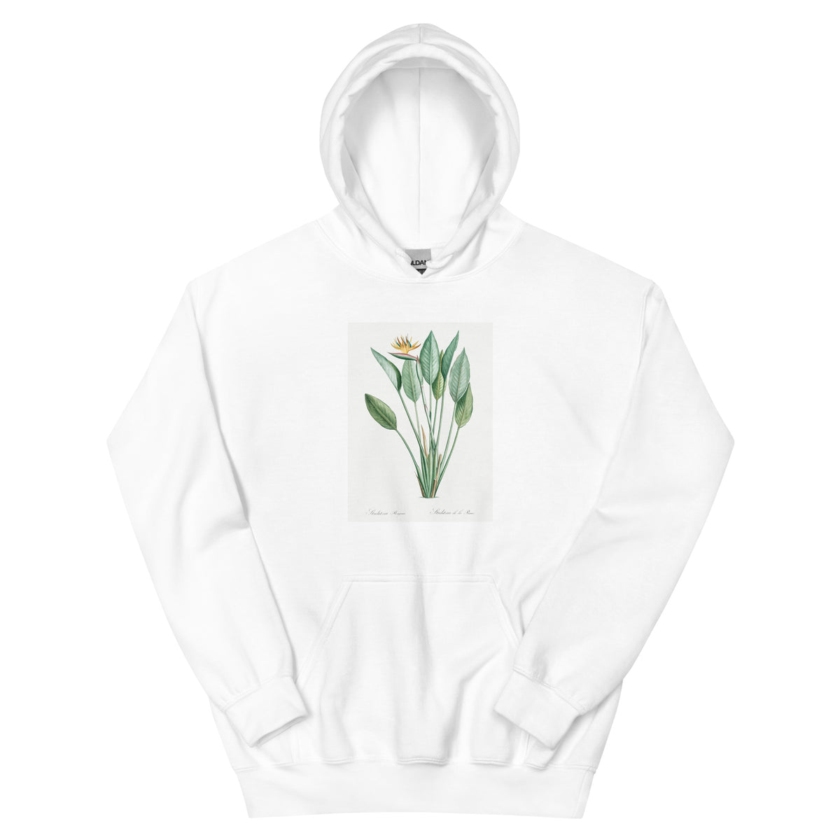 White Hoodie Bird Of Paradise Illustration II Essential