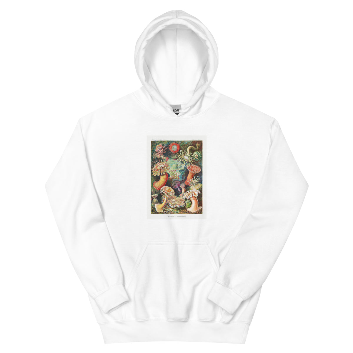 White Hoodie Actiniae Seeanemonen Essential