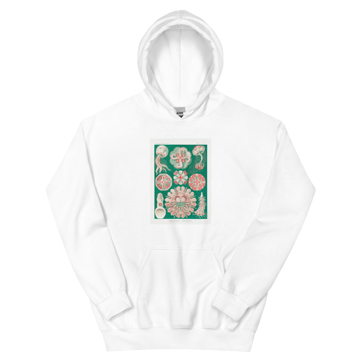 White Hoodie Discomedusae Schweibenquallen Essential