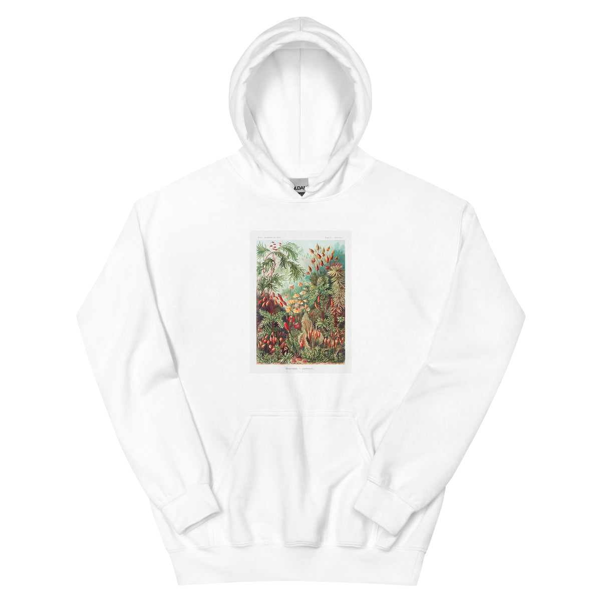 White Hoodie Muscinae Laubmoose A Giltsch Gem Essential