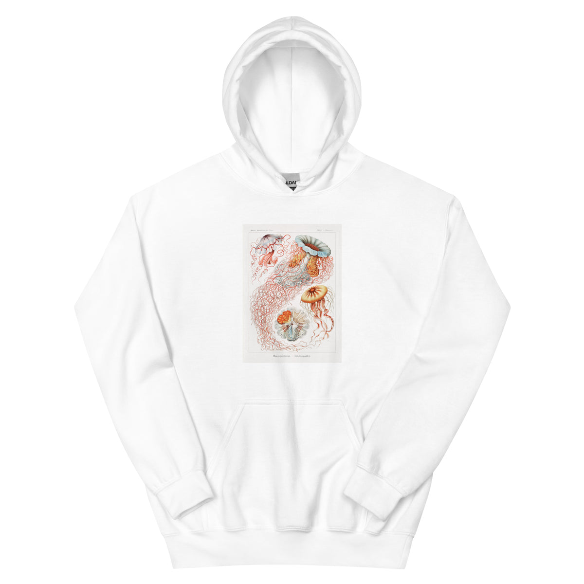 White Hoodie Discomedusae Scheibenquallen Essential