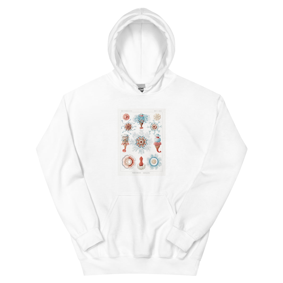 White Hoodie Siphonophorae Staatsquallen Essential
