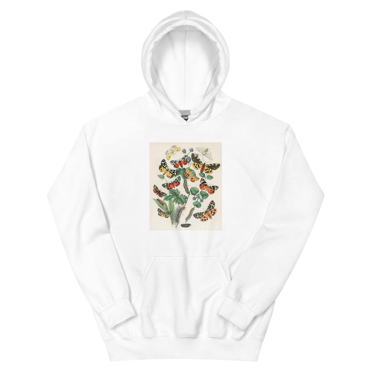 White Hoodie Illustrations - William Forsell Kirby 1882 Essential