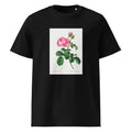 Black T-shirt Cabbage Rose Rosa Centifolia Premium