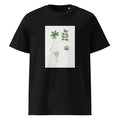 Black T-shirt Tree Leaf Set - Pierre-Joseph Redoute 1759 Premium