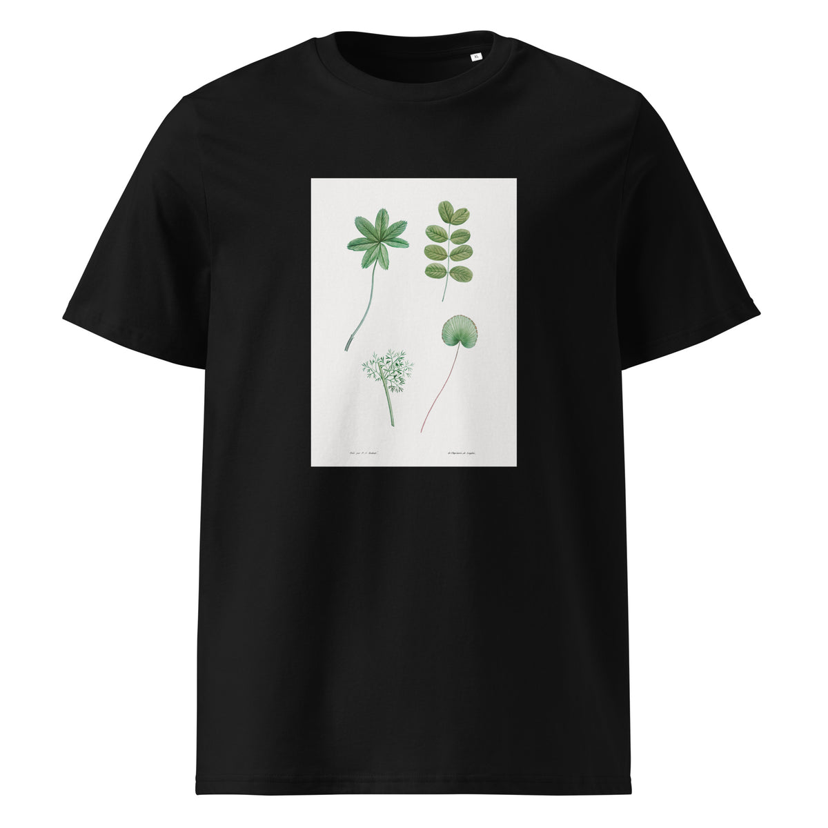 Black T-shirt Tree Leaf Set - Pierre-Joseph Redoute 1759 Premium