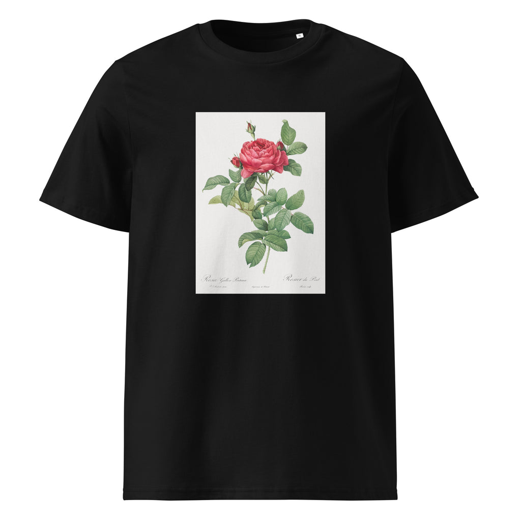 Black T-shirt Rosa Gallica Pontiana Also Known As Bridge Rose Premium