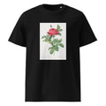 Black T-shirt Rosa Gallica Pontiana Also Known As Bridge Rose Premium