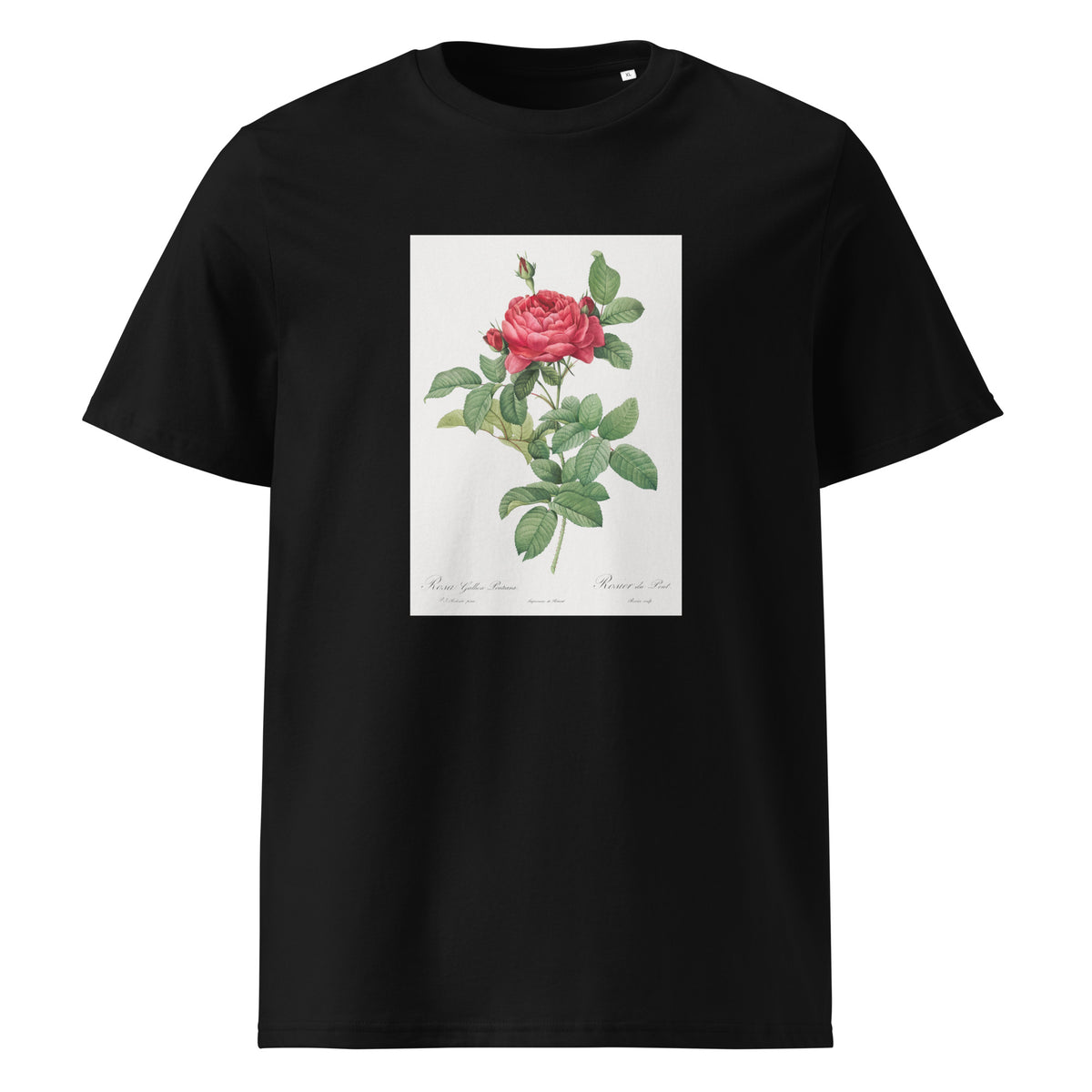 Black T-shirt Rosa Gallica Pontiana Also Known As Bridge Rose Premium