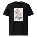 Black T-shirt Old Blush China Also Known As Common Rose Of India Rosa Indica Vulgaris Premium