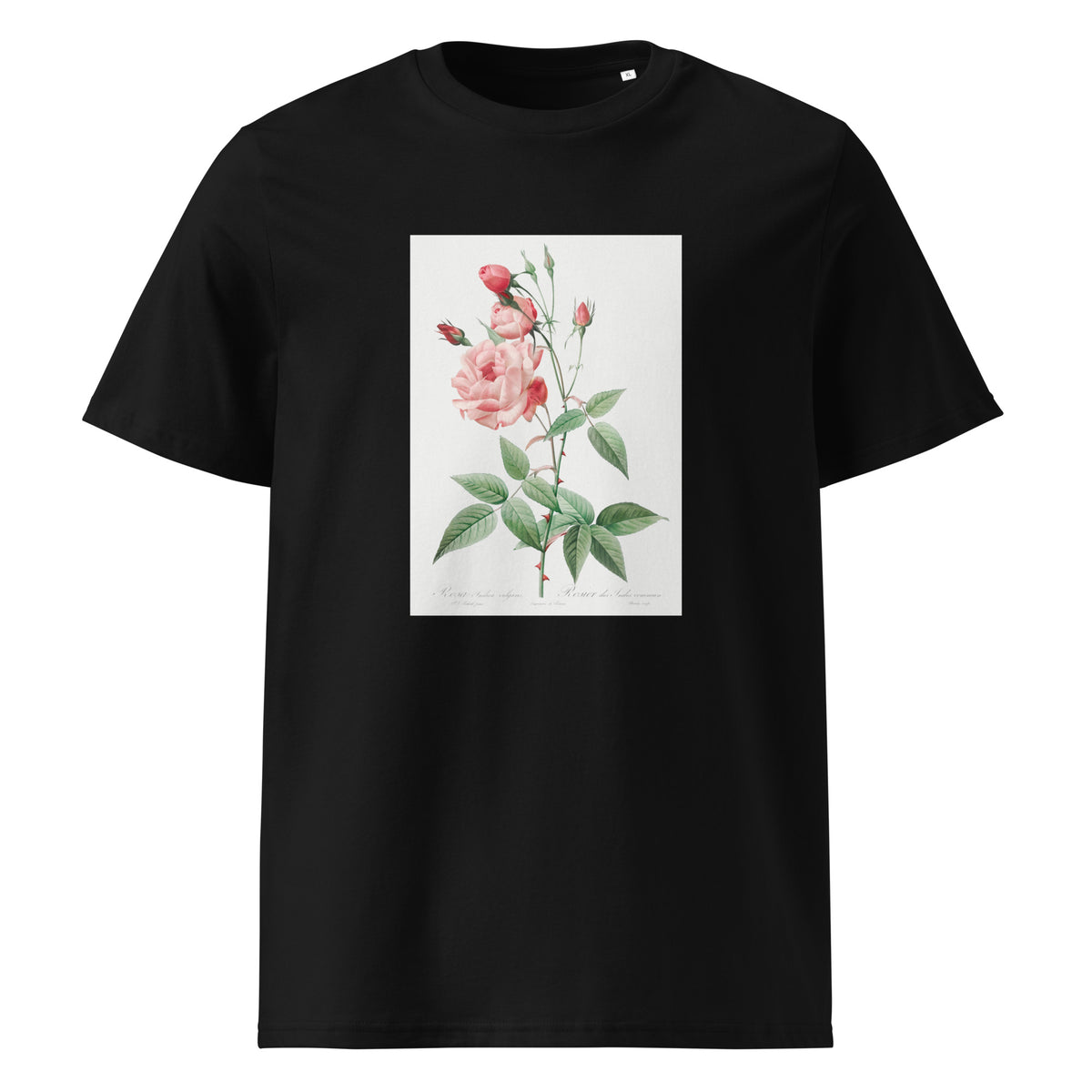 Black T-shirt Old Blush China Also Known As Common Rose Of India Rosa Indica Vulgaris Premium